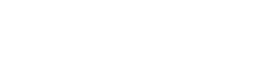 全問正解